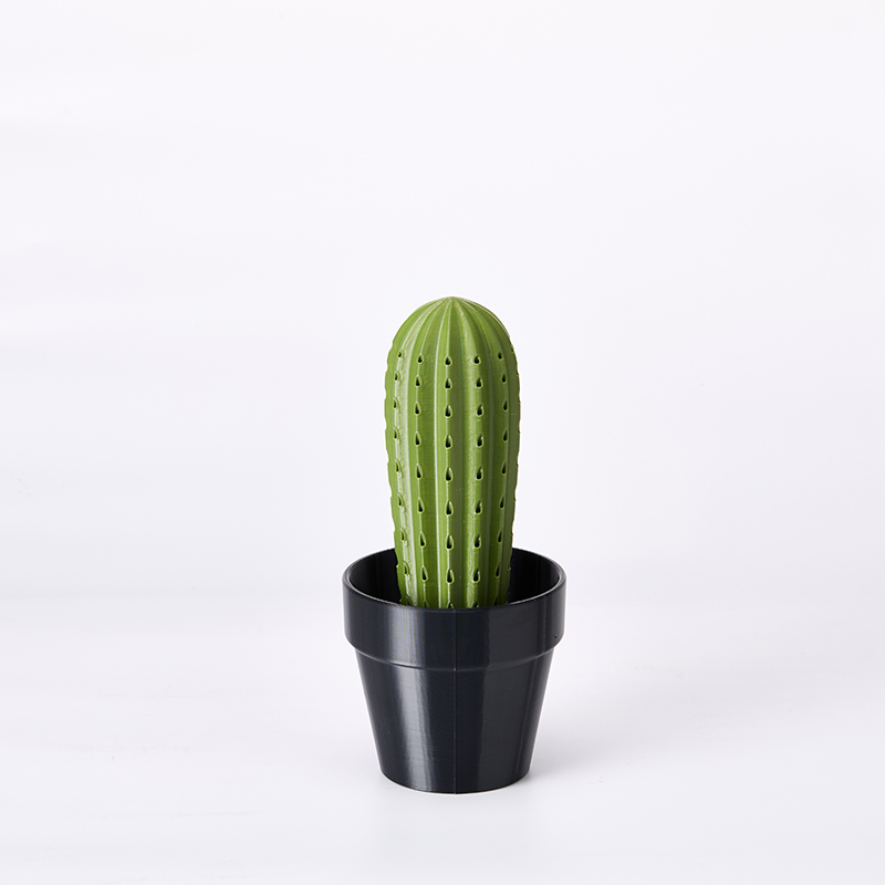 Cactus Toothpick Holder