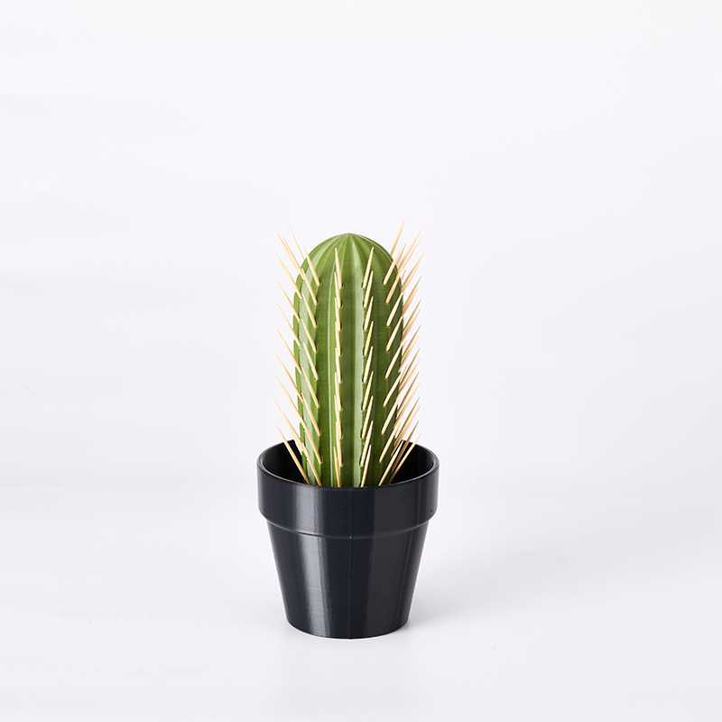 Cactus Toothpick Holder