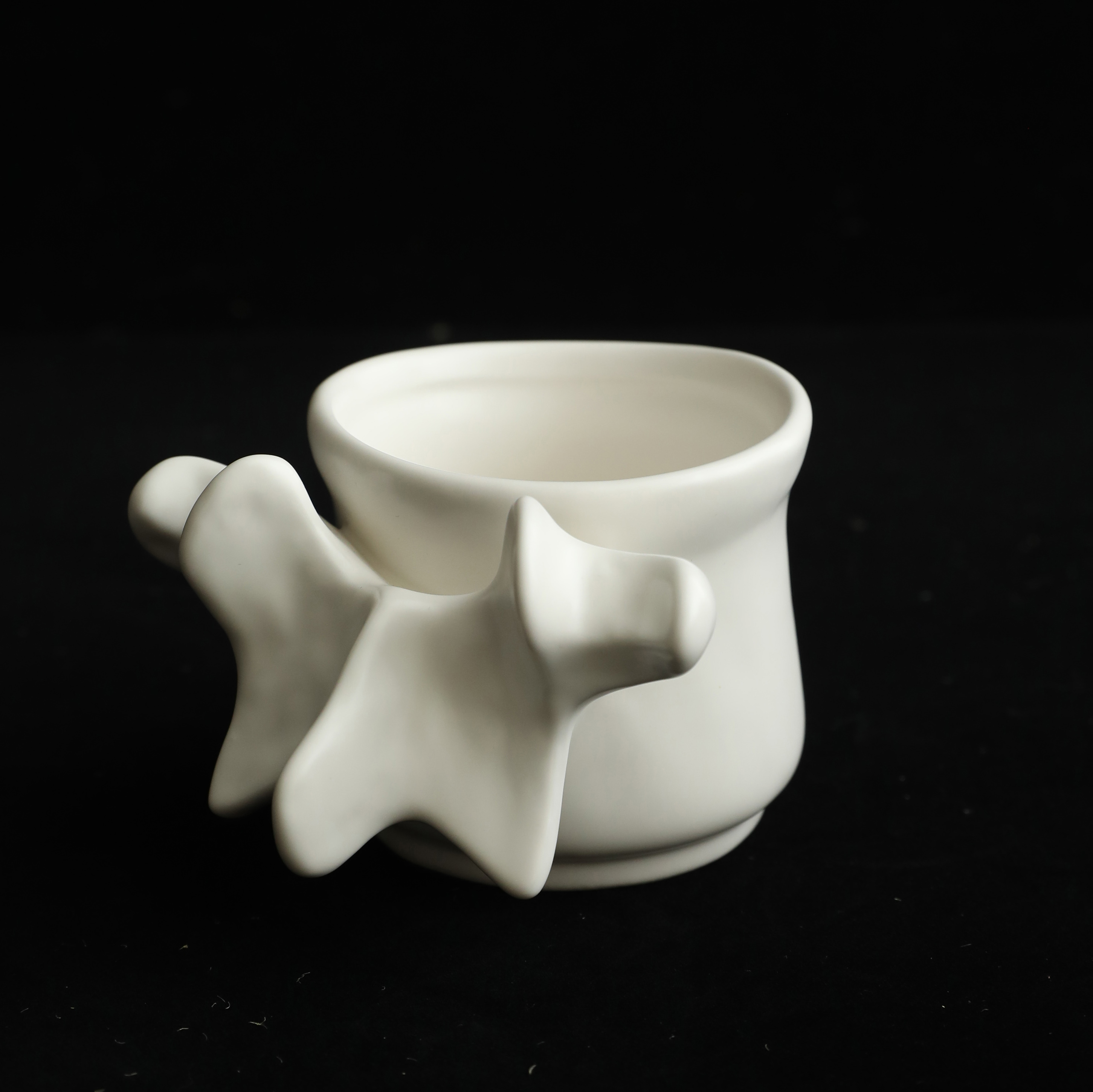 Spine Ceramic Mug & Vase Set