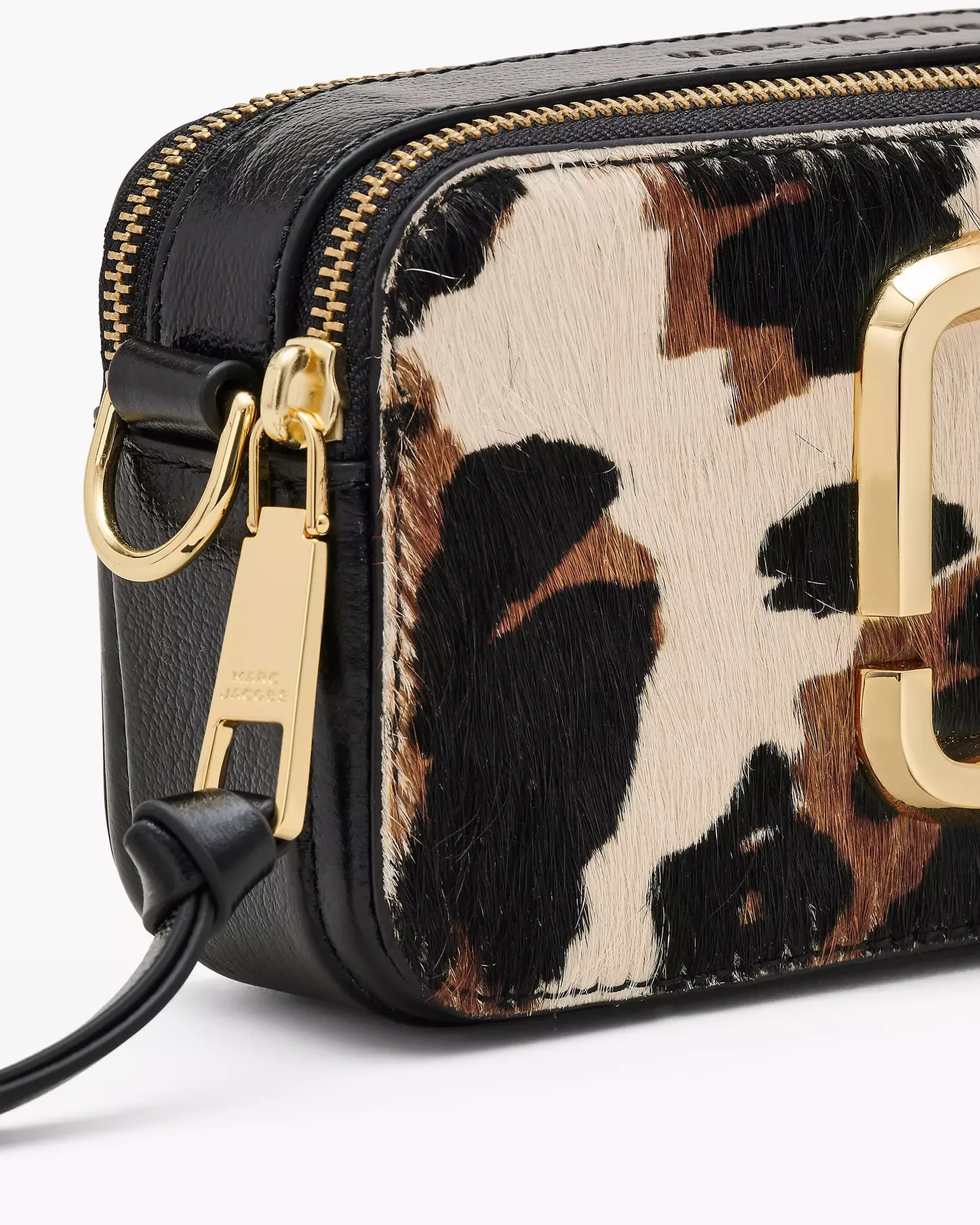 The Cow Haircalf Snapshot