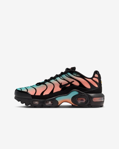 Nithtke Air Max Plus Sko til større børn