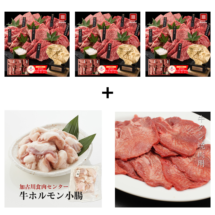 【楽天グルメ大賞受賞】2023年販売実績1万個突破！即日出荷対応 神戸牛6点食べ比べ焼肉 600ｇ【送料無料※北海道・沖縄へは+500円】神戸ビーフ お取り寄せグルメ ギフト 誕生日 プレゼント 自宅用 食べ比べ 希少部位 BBQ お中元 御中元 お歳暮 御歳暮 父の日 母の日 敬老の日