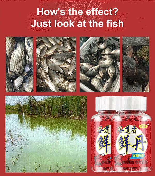 Animal Protein Fresh Dan Lazy Bait Pellets🐠STOP WAITING. START REELING.🔥OVER 100,000 SUCCESSFUL CATCHES THIS SEASON | ⭐⭐⭐⭐⭐ 4.9/5 RATING