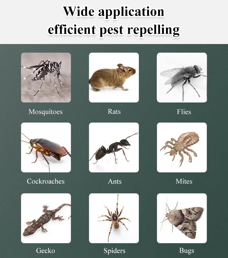 Ultrasonic electronic insect repellent sleep light