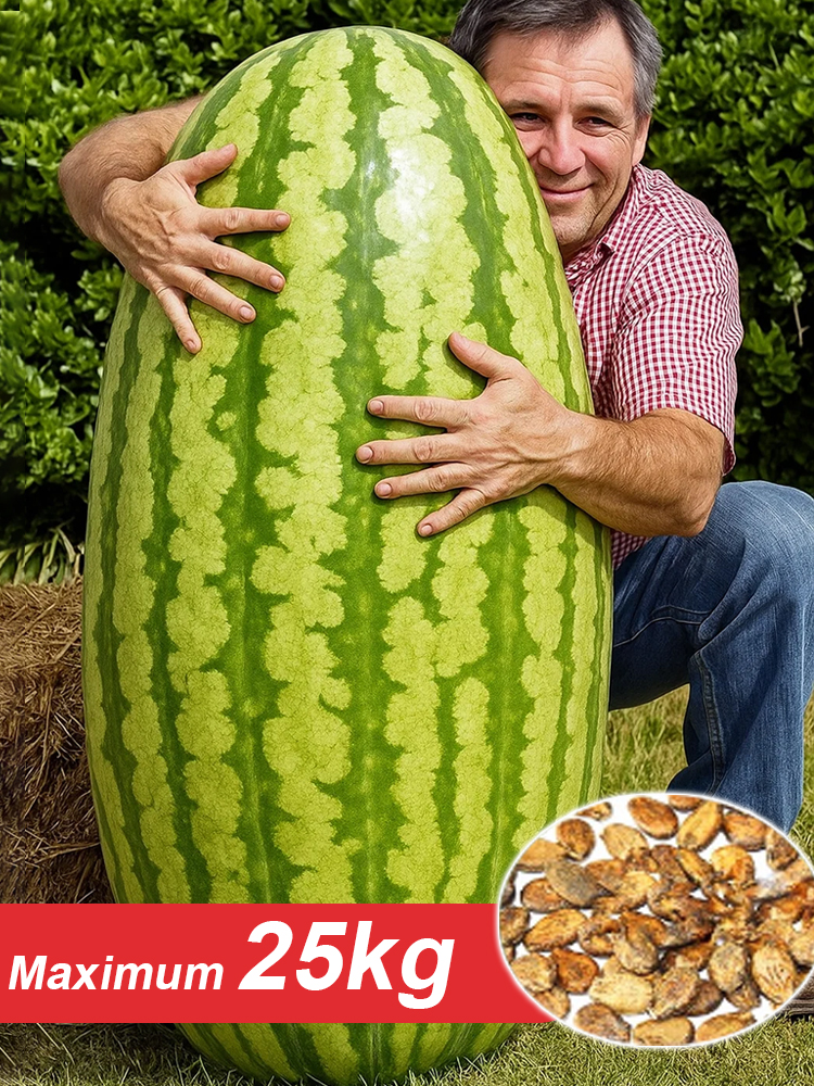 Extra Large Lazy King Watermelon Seeds