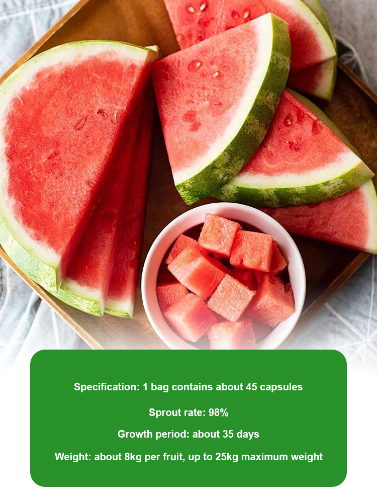 Extra Large Lazy King Watermelon Seeds