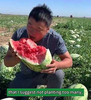 下载.gif