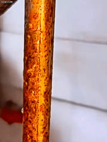 fc783699ca7cd0d9de6fdf502c6bca58.gif