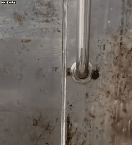 7e9733b7779905917e048a45c20e0d66.gif