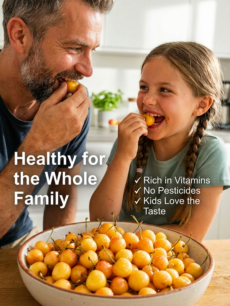 🍒[Fast-growing, strong, and resilient] Cherry saplings that bear fruit in the same year