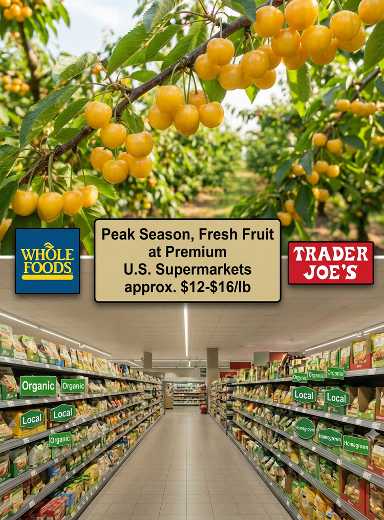 Banner_1_Premium_Supermarket_750x1016.png