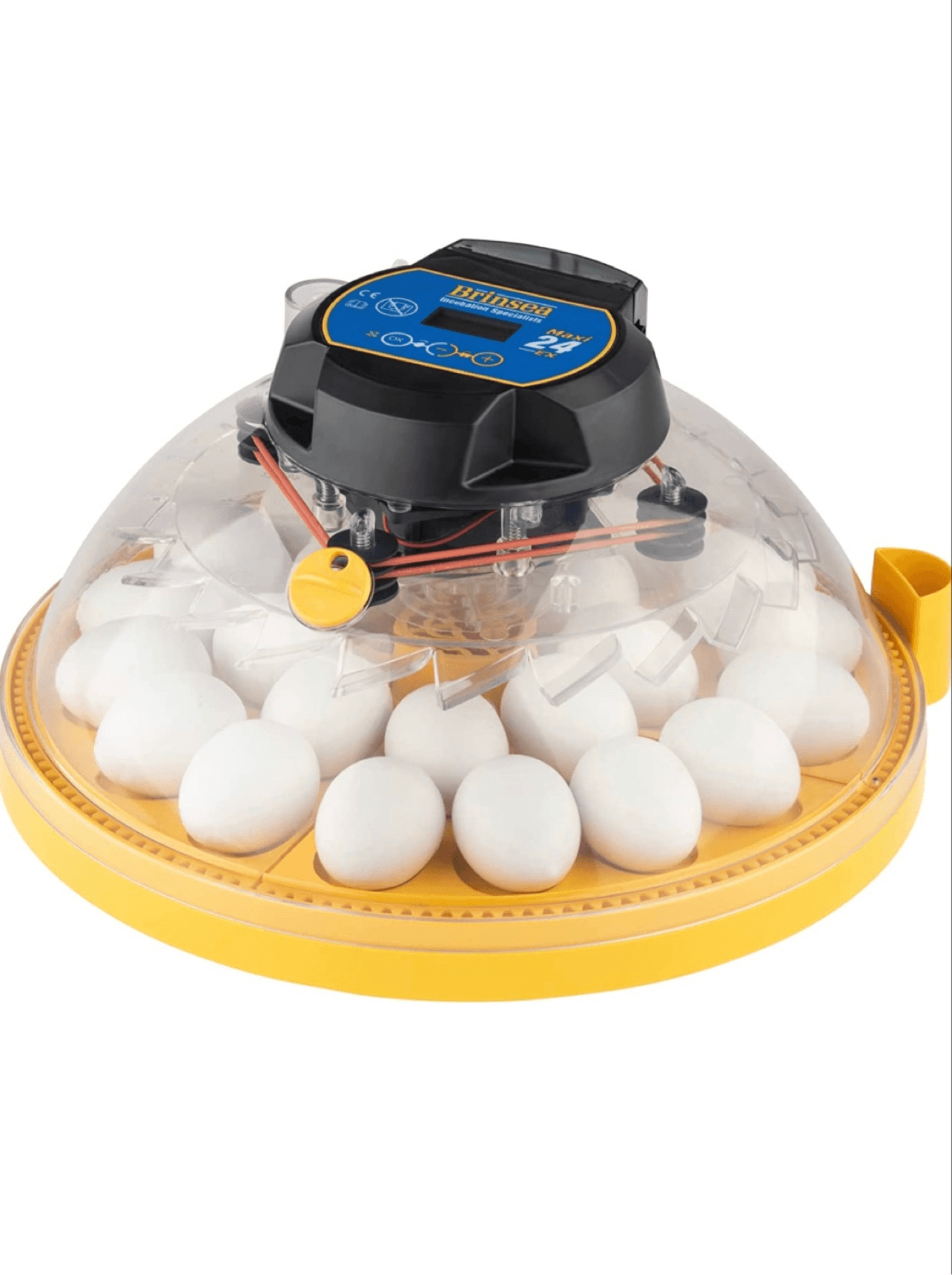 [2025 aggiornamento] Incubatore per l'incubazione delle uova