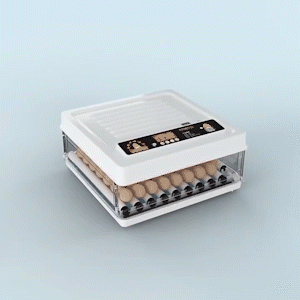 1659694123338468.gif