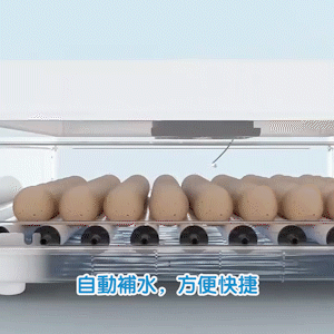 1659694123356161.gif