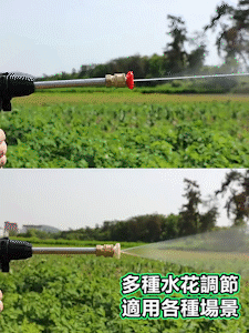 动图3.gif