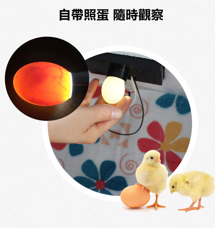 1659695185173759.jpg 12_副本.jpg