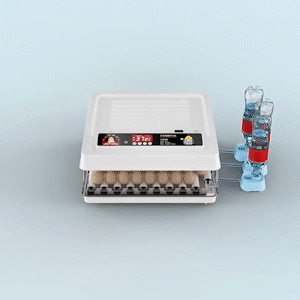 1659694115422639.gif