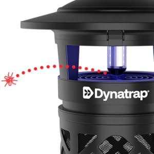 Dynatrap 1 Acre Outdoor Insect Trap what we catch