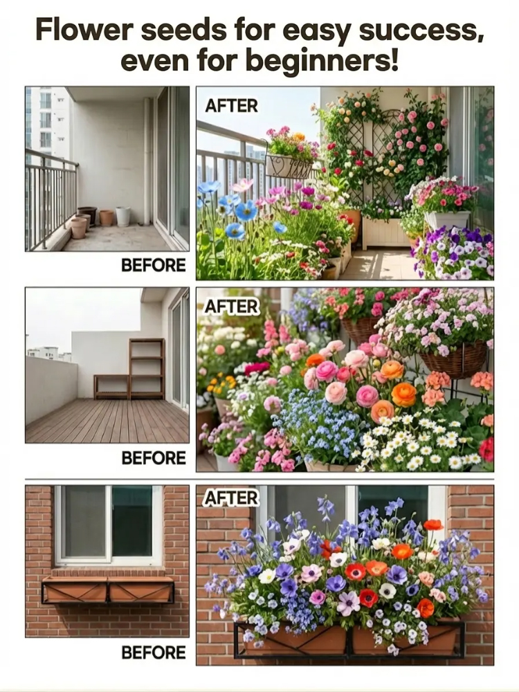 【365-Day Blooms & Survival Guaranteed】Vibrant Seeds Even Beginners Can Grow!