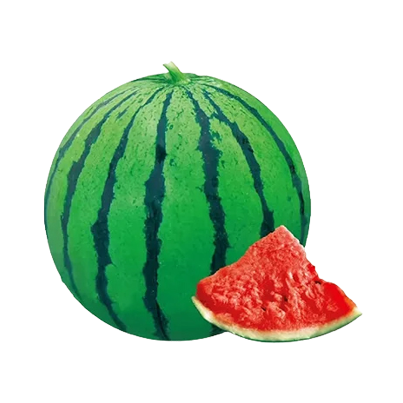 Wassermelonen-Samen, die das ganze Jahr über Früchte tragen.