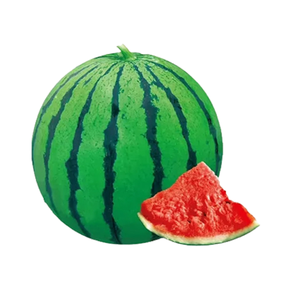 Wassermelonen-Samen, die das ganze Jahr über Früchte tragen.