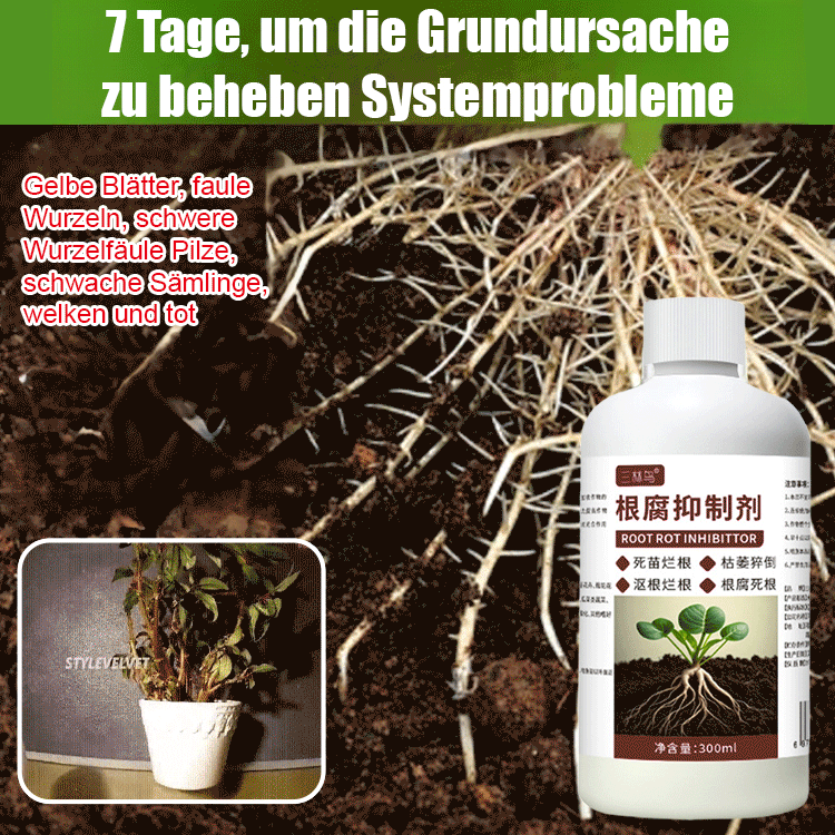 [Produktionsmenge verdoppelt] Wurzelfäulnis-Bezwinger