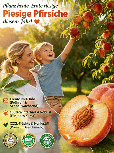 【Schnellwüchsig und widerstandsfähig】Süßer, früh reifender Pfirsichsetzling