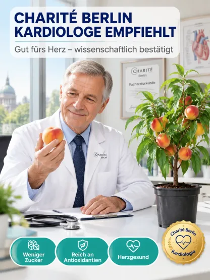 【Schnellwüchsig und widerstandsfähig】Süßer, früh reifender Pfirsichsetzling