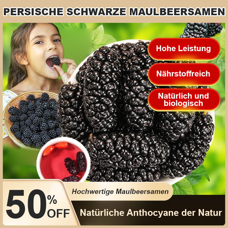 Persische schwarze Maulbeersamen