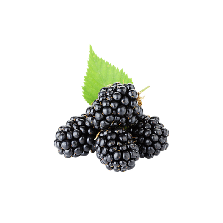 Persische schwarze Maulbeersamen