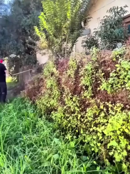 Universal Unkrautbürste für Motorsense & Rasentrimmer