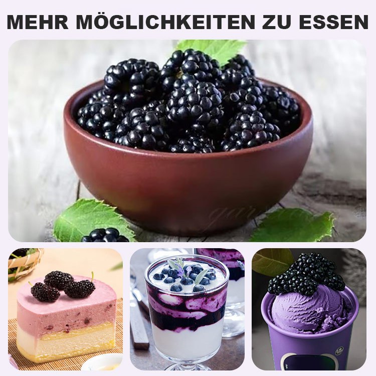 Persische schwarze Maulbeersamen