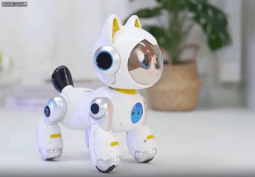 Honeycam 2026-04-10 17-57-43.gif