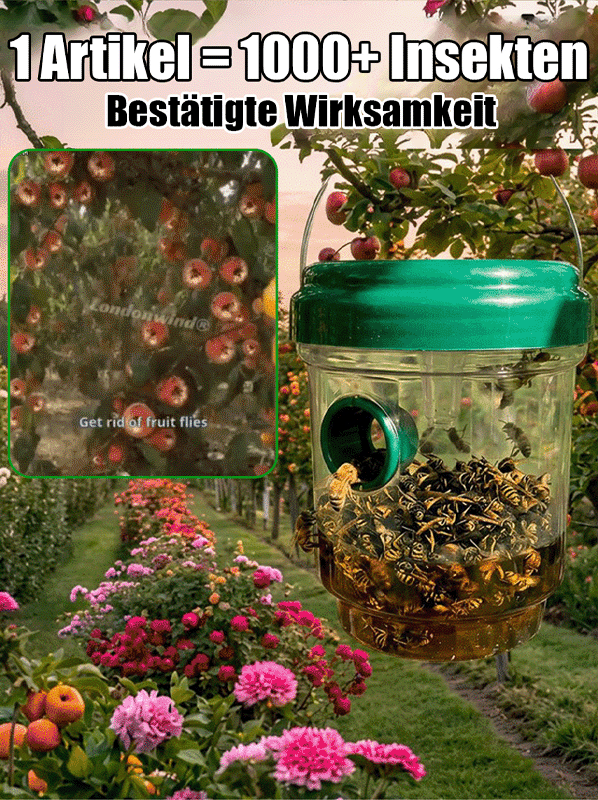 Quantenstufe Solar-Multidimensionaler Insektenfänger