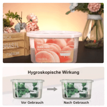Feuchtigkeitsabsorbierende Trockenmittel-Entfeuchterbox