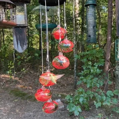 Charming Wind Chimes Hummingbird feeders Garden Decor