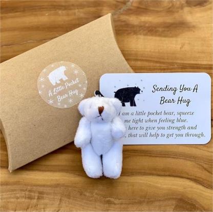 Little Pocket Bear Hug