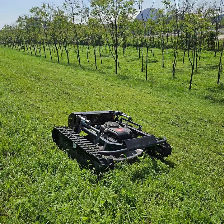 🎯Today's Specials Only 32.99!!🛠️Mini self-propelled Remote Control Lawn Mower Robot