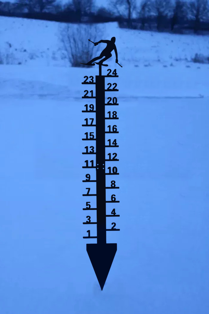 🔥Early Christmas Sale 50% Off-Iron Art Snow Gauge