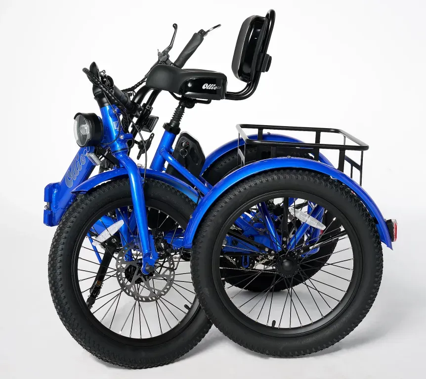 🔥Soon to be sold out!!💝Buy 2 Get 2 Free💥Ollie Leo Electric Trike
