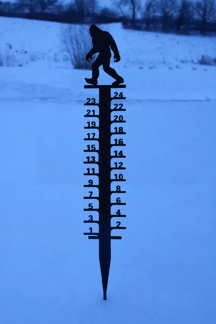 🔥Early Christmas Sale 50% Off-Iron Art Snow Gauge