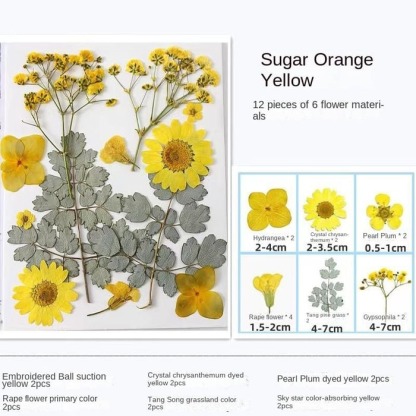 💐Transparent Dried Flower Bookmarks(40 PCS)