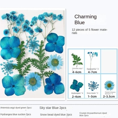 💐Transparent Dried Flower Bookmarks(40 PCS)