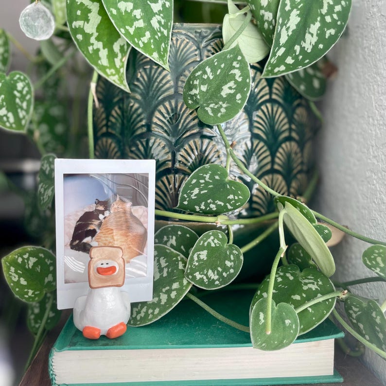 💥Last Day Promotion 50% OFF🔥-Handmade Clay Photo Holders🍄