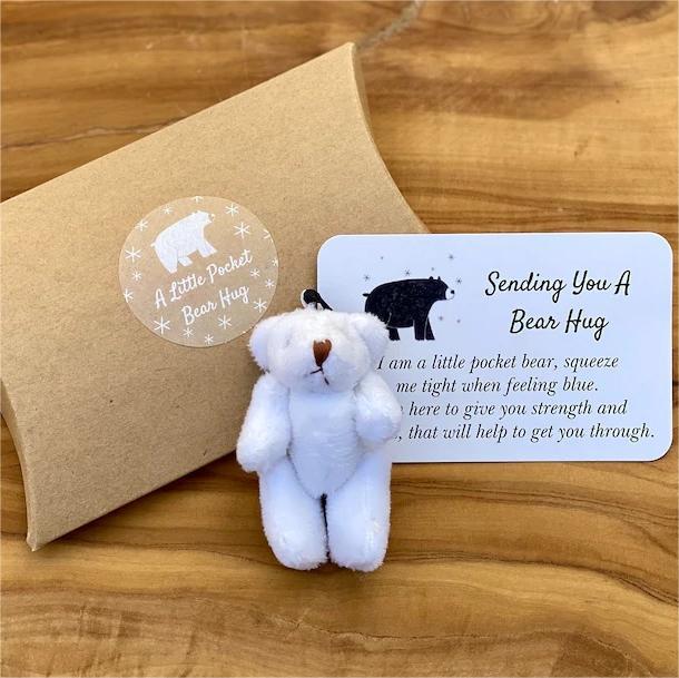 Little Pocket Bear Hug