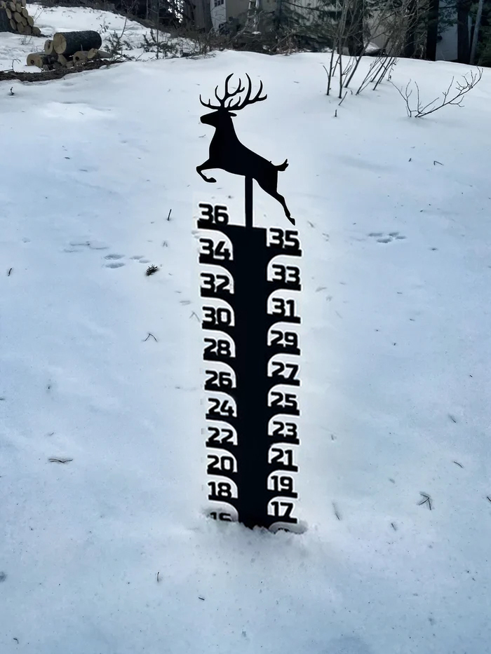 🔥Early Christmas Sale 50% Off-Iron Art Snow Gauge