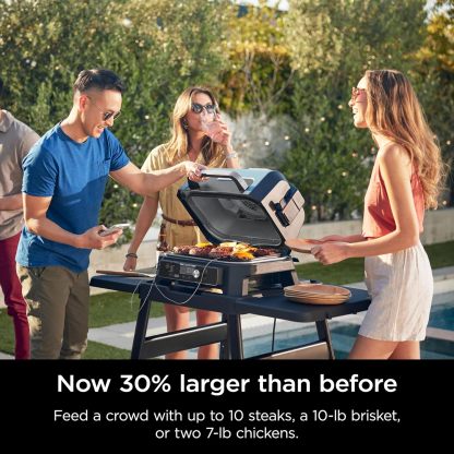 💥Clearance Sale✨Woodfire Pro XL Outdoor Electric Smoker & AirFry Grill w/Temp Probe