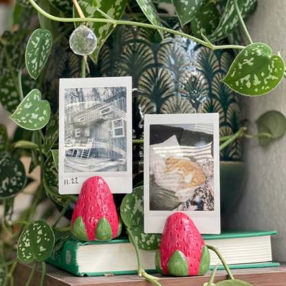 💥Last Day Promotion 50% OFF🔥-Handmade Clay Photo Holders🍄