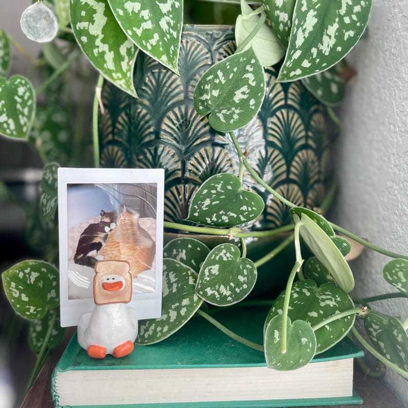 💥Last Day Promotion 50% OFF🔥-Handmade Clay Photo Holders🍄