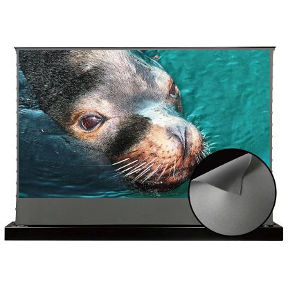 💗OMG! Huge discounts are coming!🍿Motorized Floor-Rising Projection Screen🚀